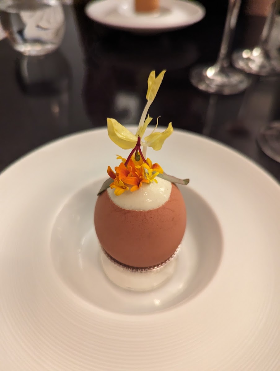 Goosefoot® Chicago Photos 2